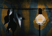 a light bulb hanging from a wire