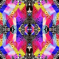 a colorful zebra pattern on a black background